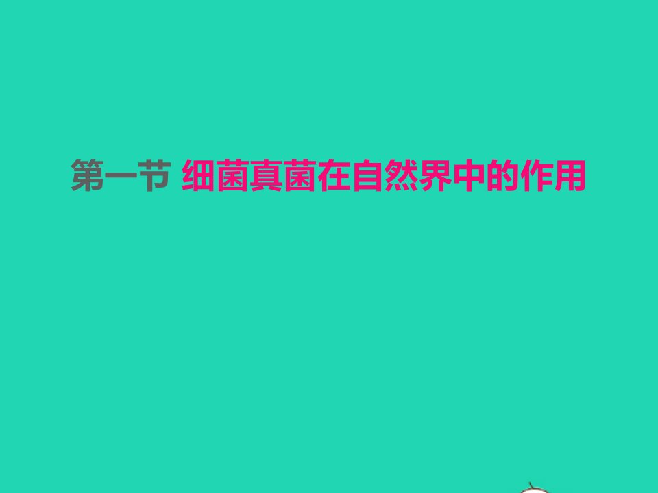 2022八年级生物上册第五单元生物圈中的其他生物第四章细菌和真菌第4节细菌真菌在自然界中的作用课件新版新人教版