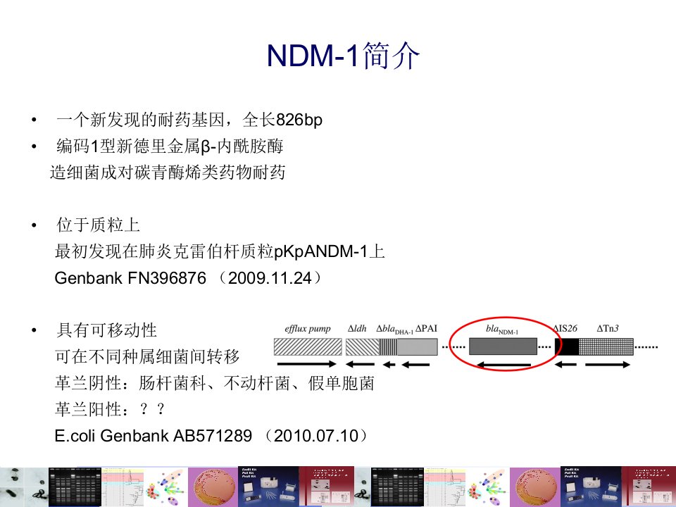 监测实验室环境标本高致病性禽流感监测技术方案