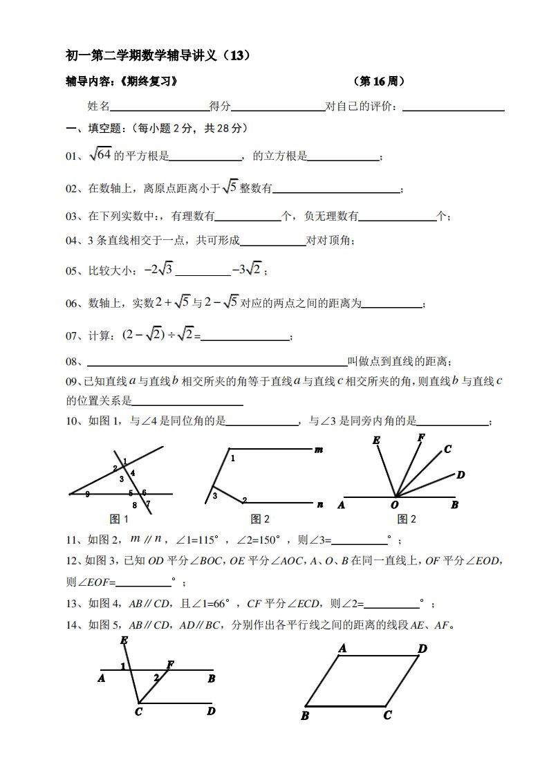 初一第二学期数学辅导讲义(13)