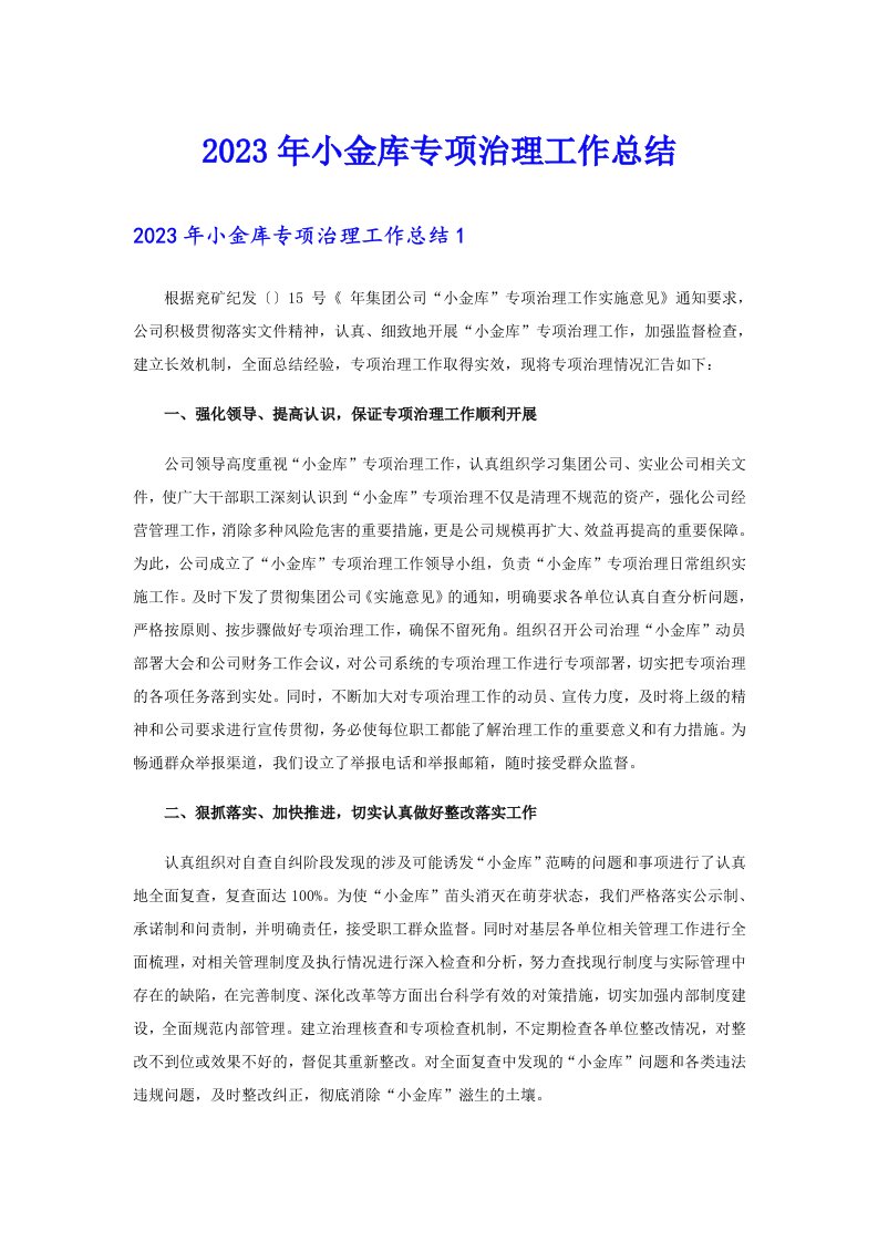 2023年小金库专项治理工作总结