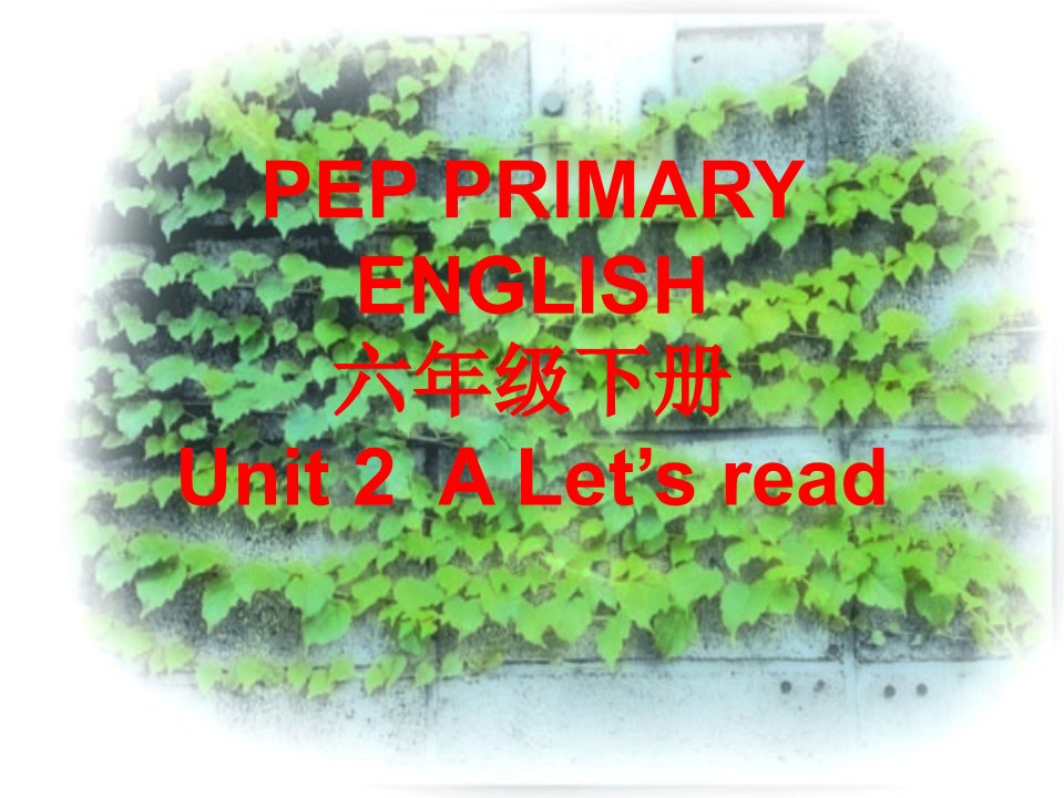 PEP小学六年级下册Unit