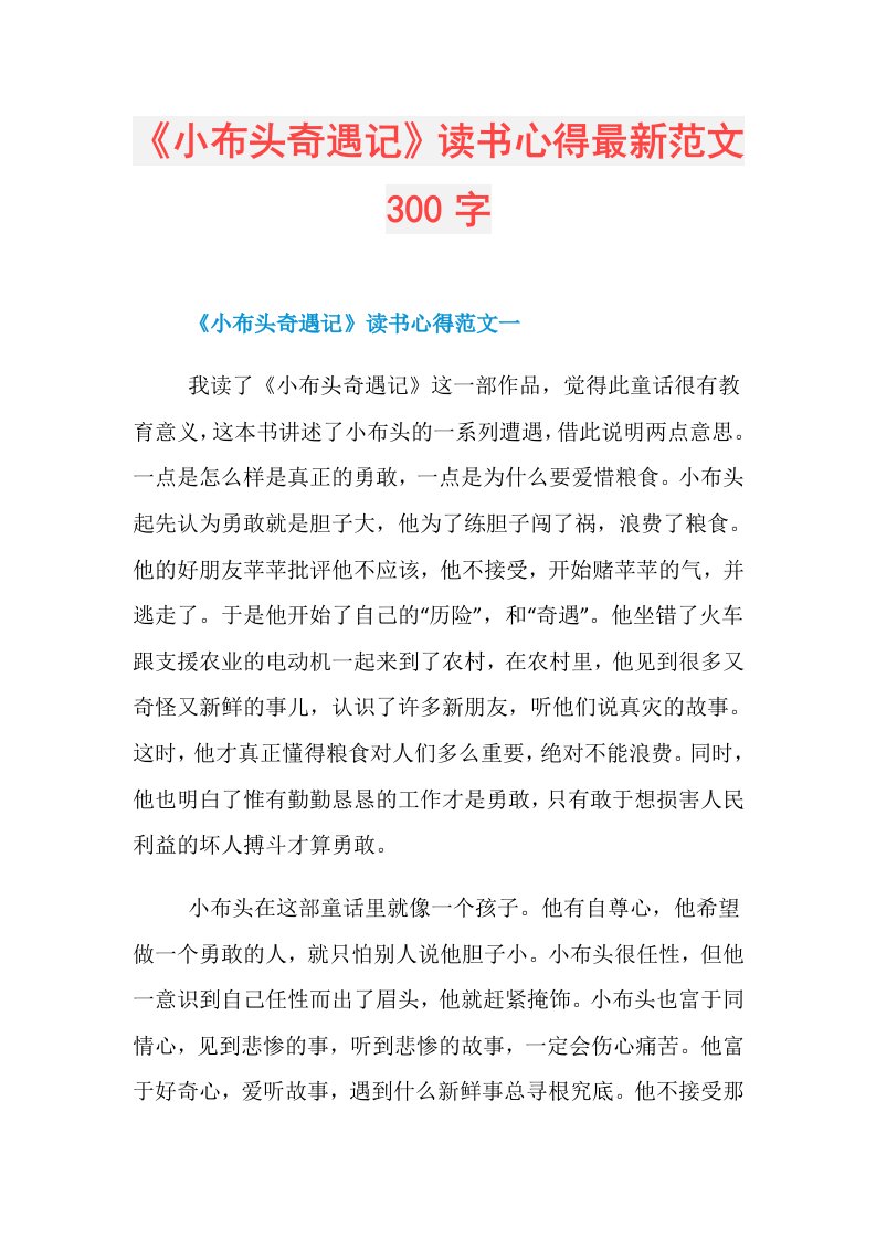 《小布头奇遇记》读书心得最新范文300字