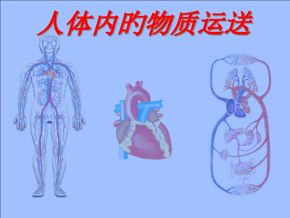 人体内物质的运输复习公开课获奖课件省赛课一等奖课件