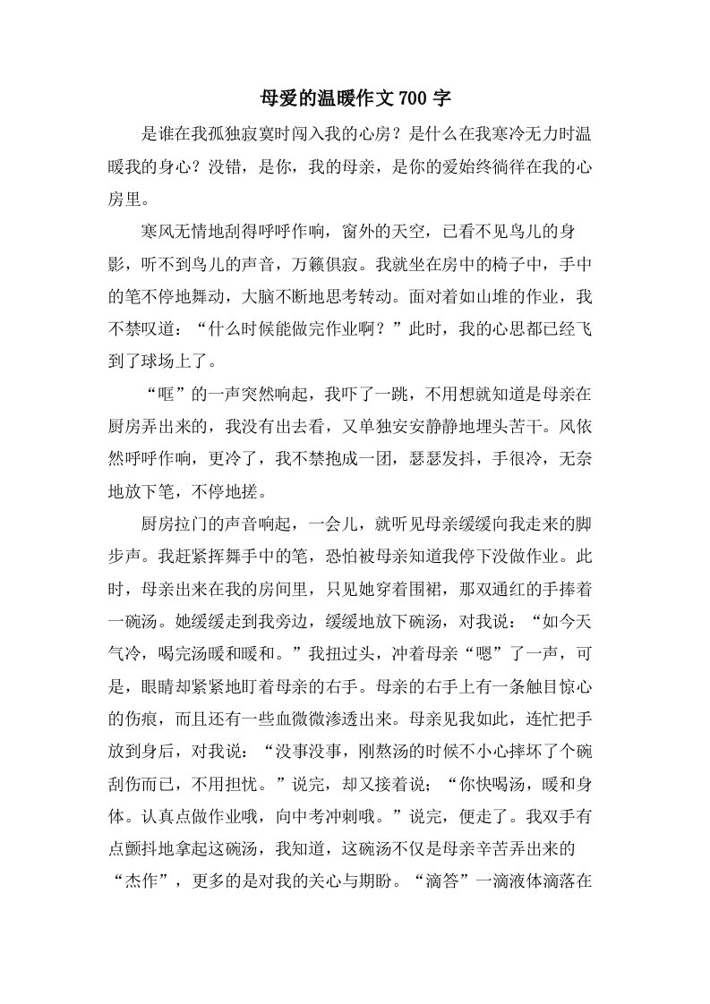 母爱的温暖作文700字