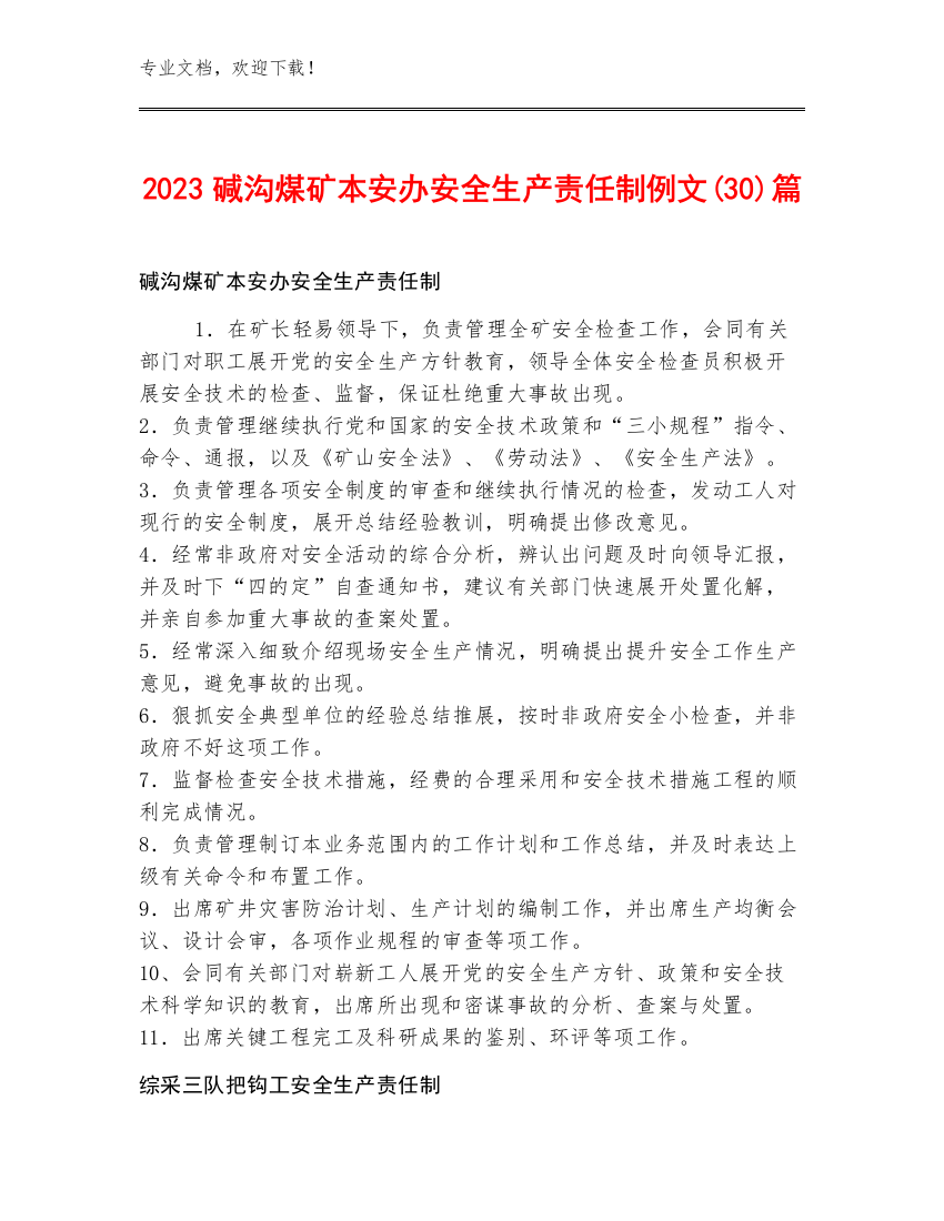 2023碱沟煤矿本安办安全生产责任制例文(30)篇