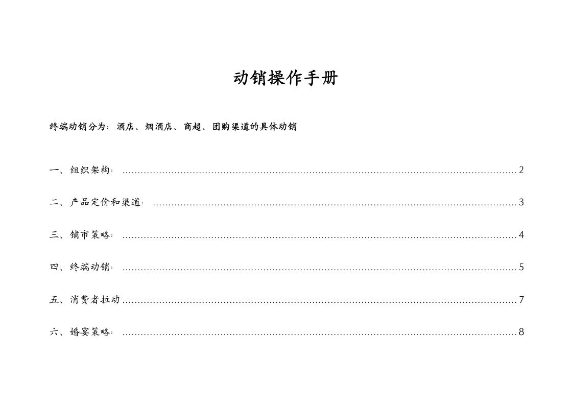 《动销操作手册》word版