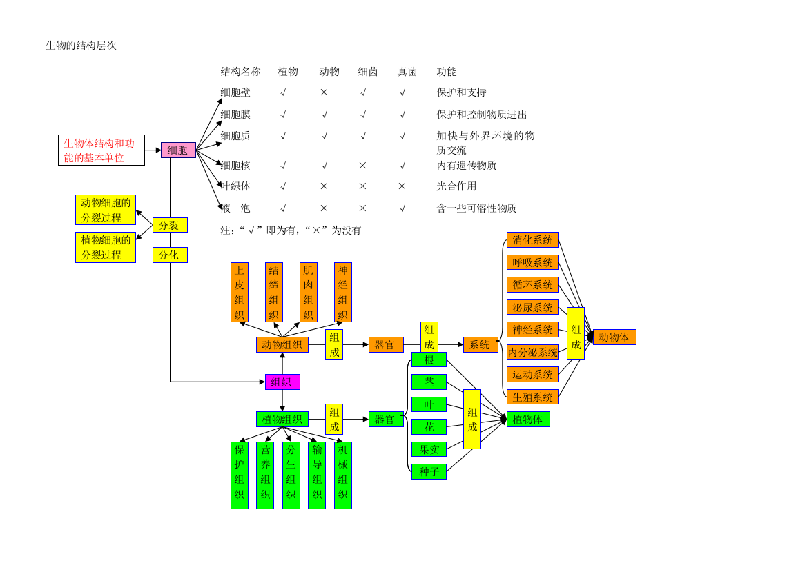 生物的结构层次