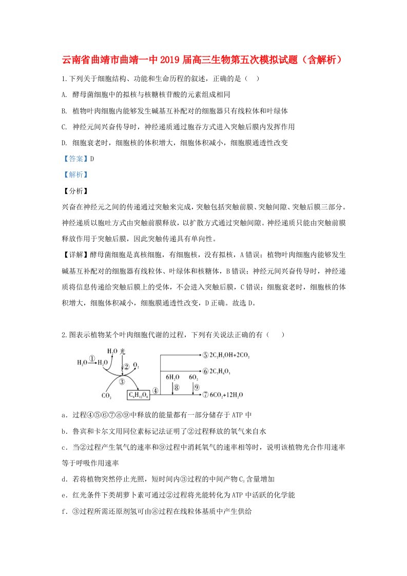 云南省曲靖市曲靖一中2019届高三生物第五次模拟试题（含解析）