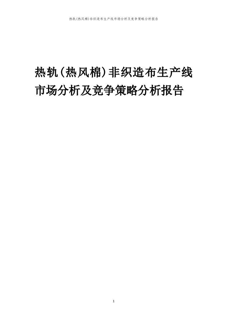 年度热轨(热风棉)非织造布生产线市场分析及竞争策略分析报告