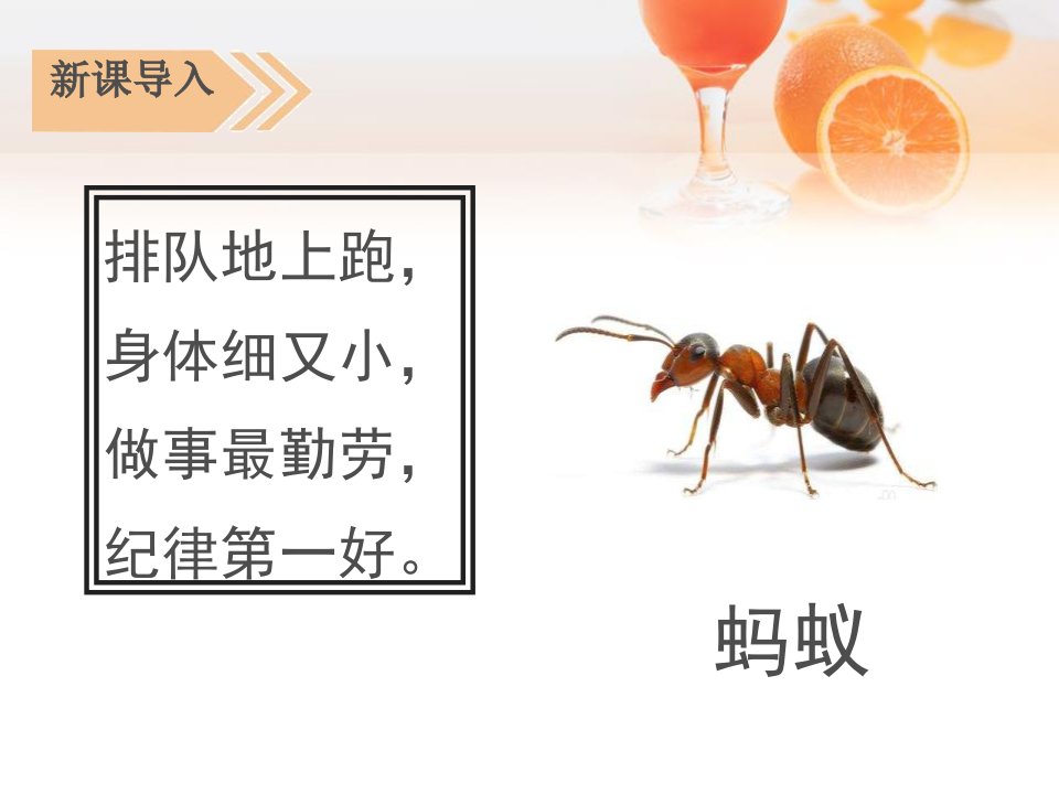 一块奶酪ppt实用课件