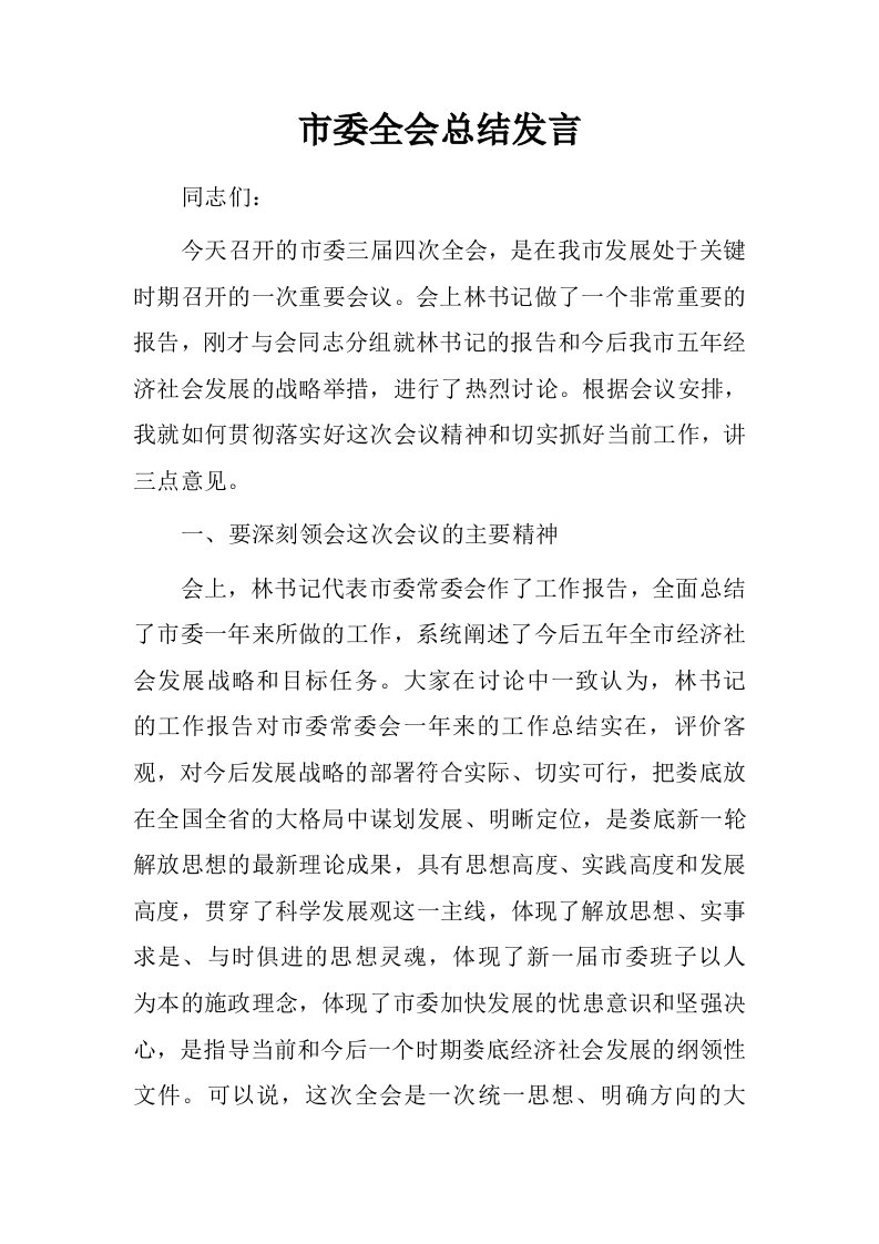 市委全会总结发言.doc