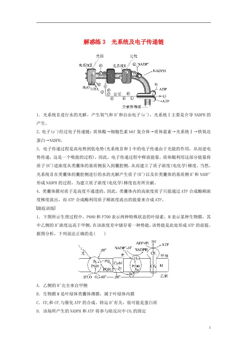 新高考2023届高考生物一轮复习讲义第3单元解惑练3光系统及电子传递链新人教版