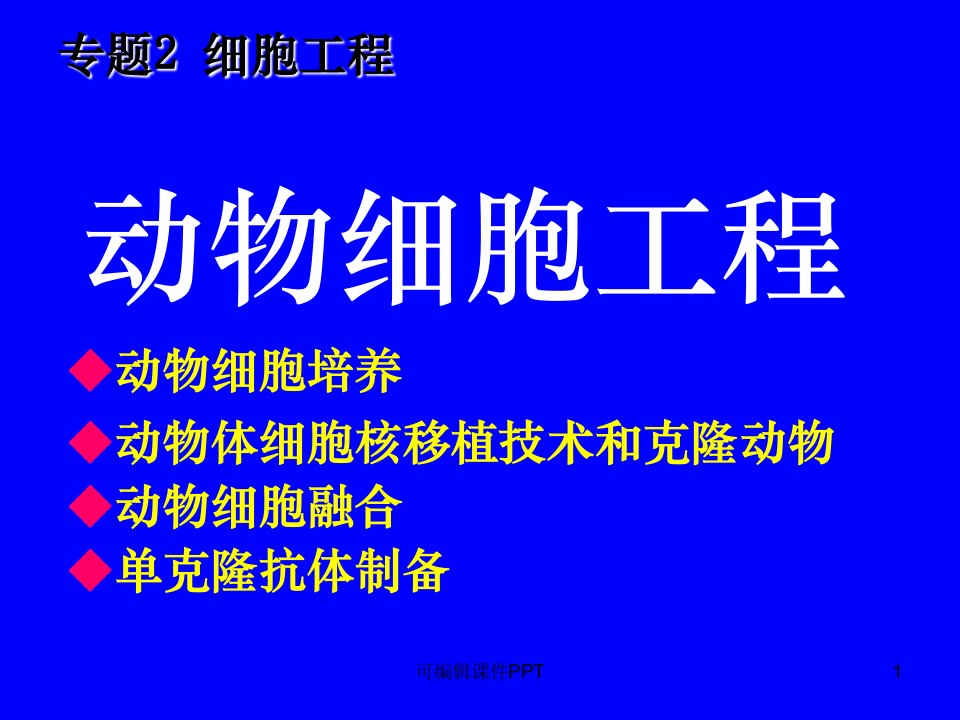 细胞工程动物细胞工程课件