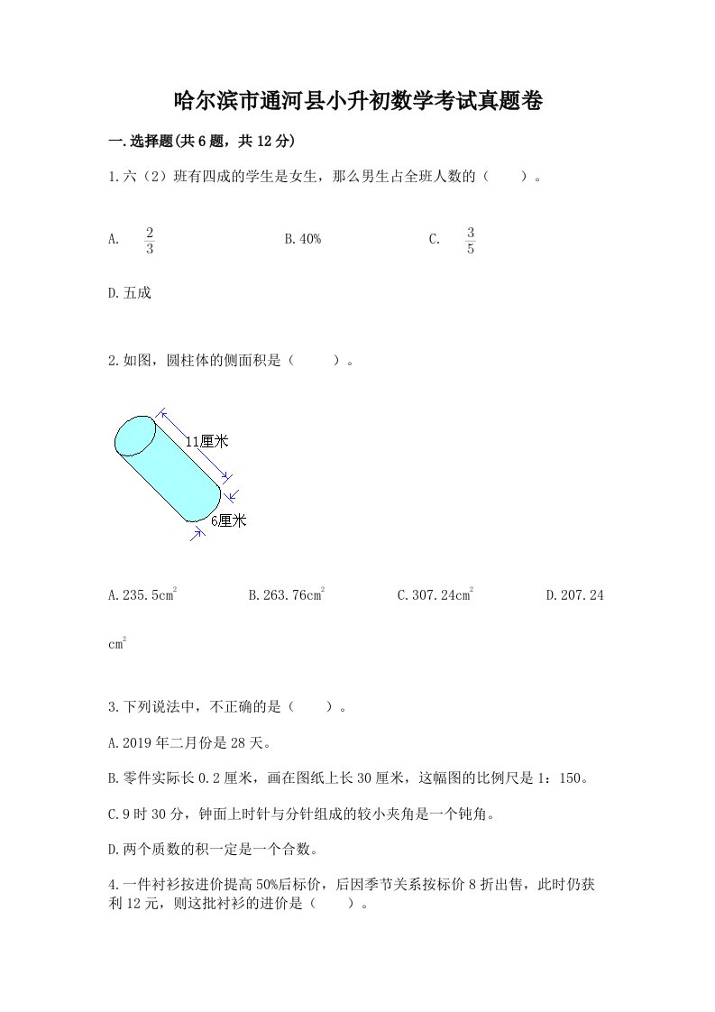 哈尔滨市通河县小升初数学考试真题卷完美版