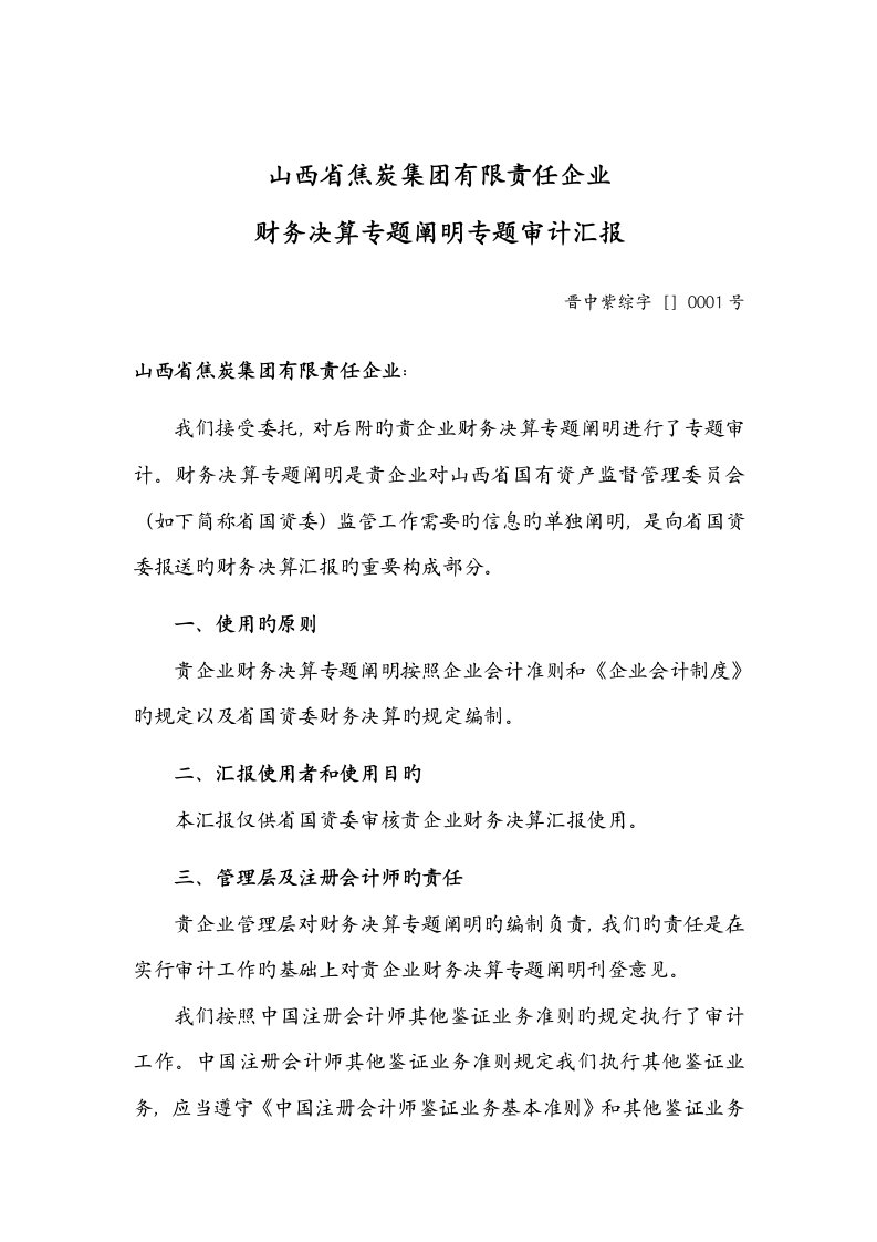 公司财务决算专项说明专项审计报告