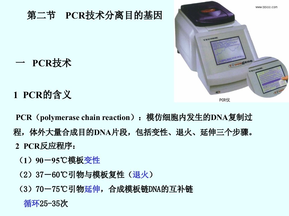 PCR技术分离目的基因