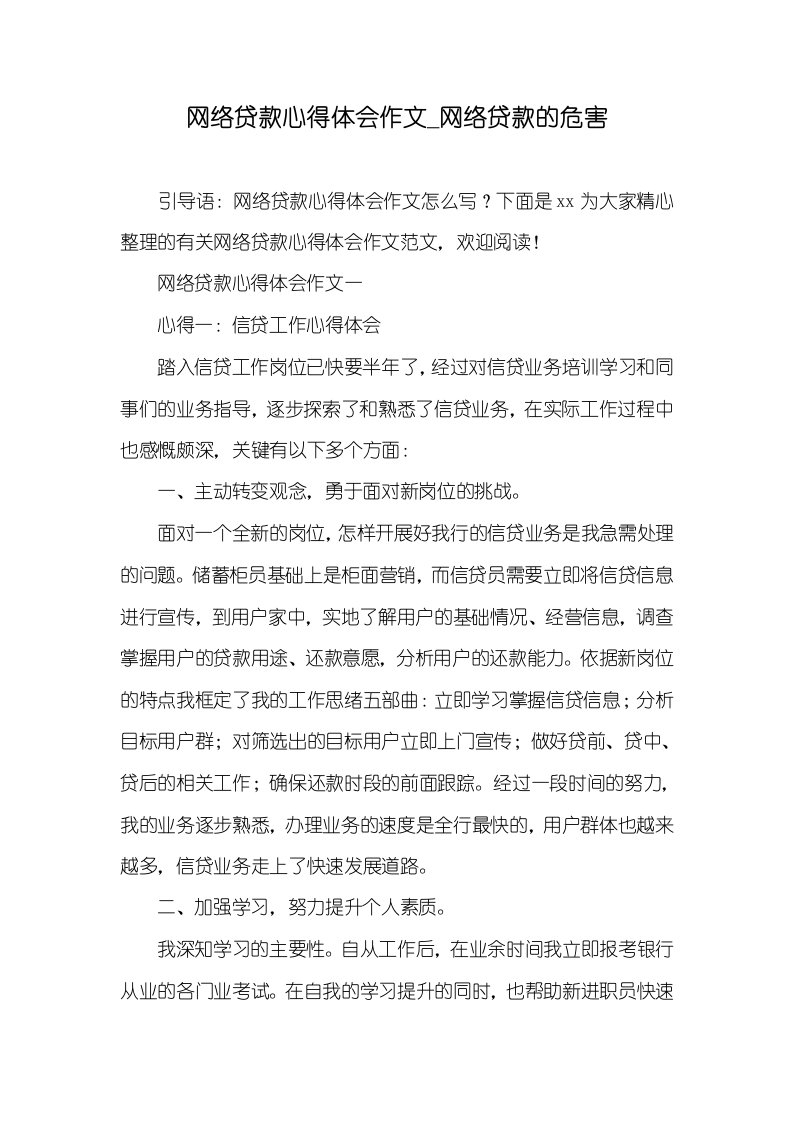 2021年网络贷款心得体会作文