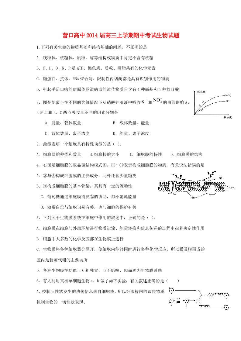 辽宁省营口高中202X届高三生物上学期期中试题新人教版