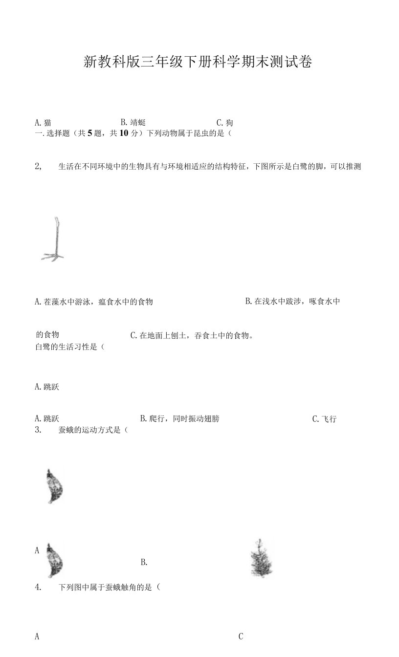 教科版三年级下册科学期末卷A4版打印