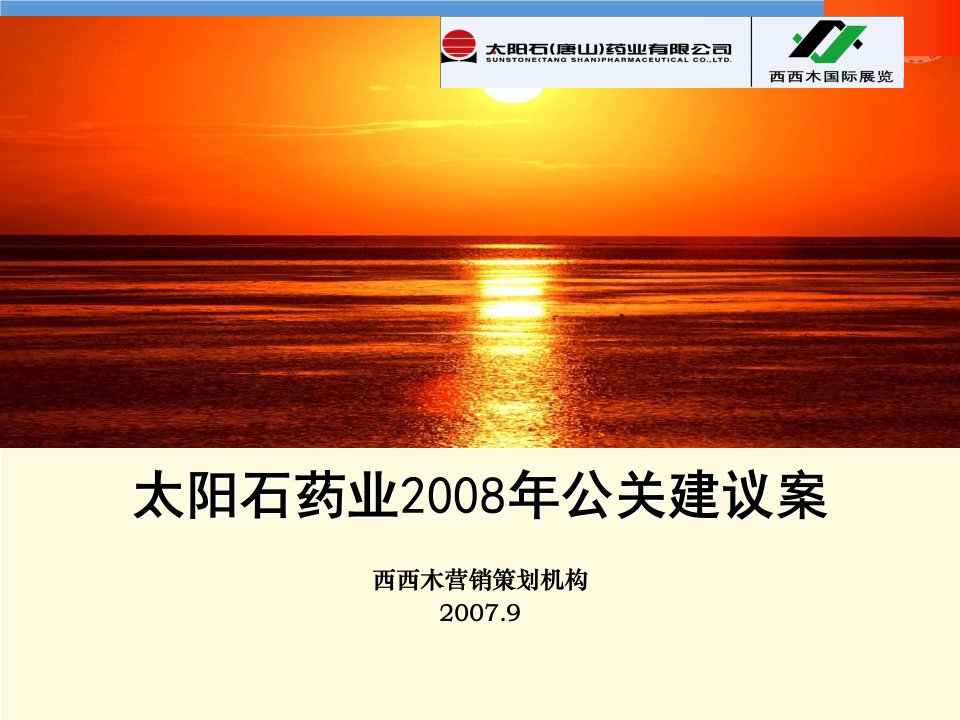 太阳石药业20XX年公关建议案