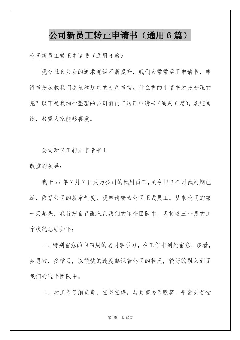 公司新员工转正申请书通用6篇