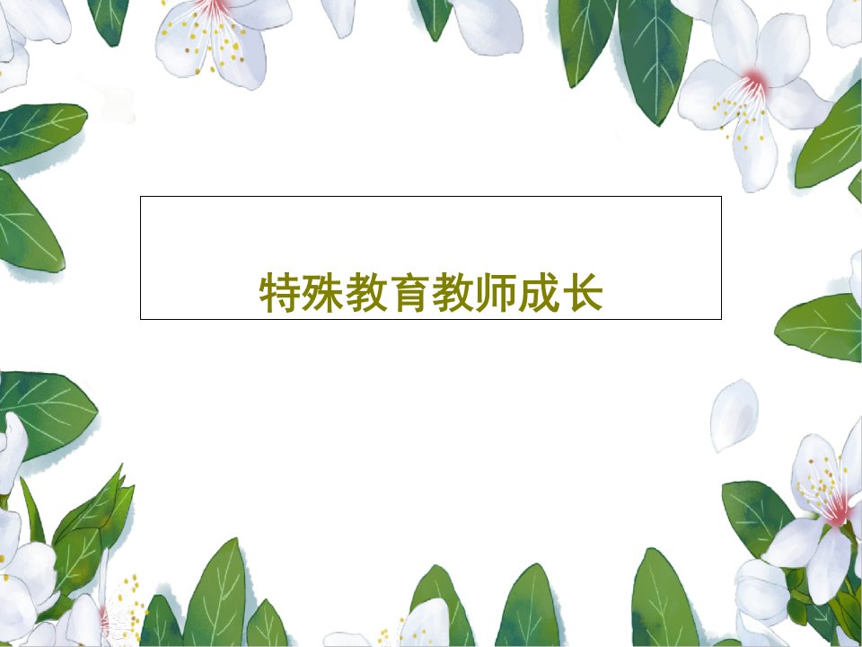 特殊教育教师成长PPT69页