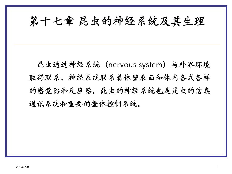 昆虫的神经系统