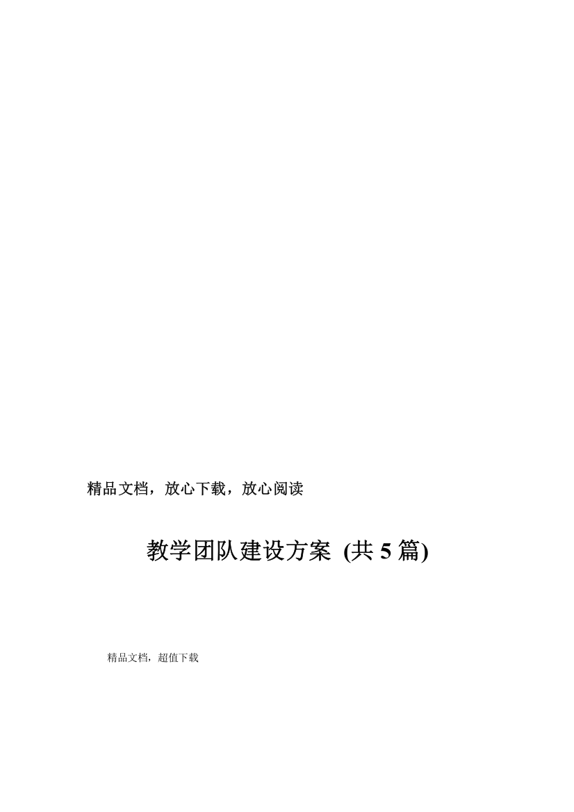 教学团队建设方案