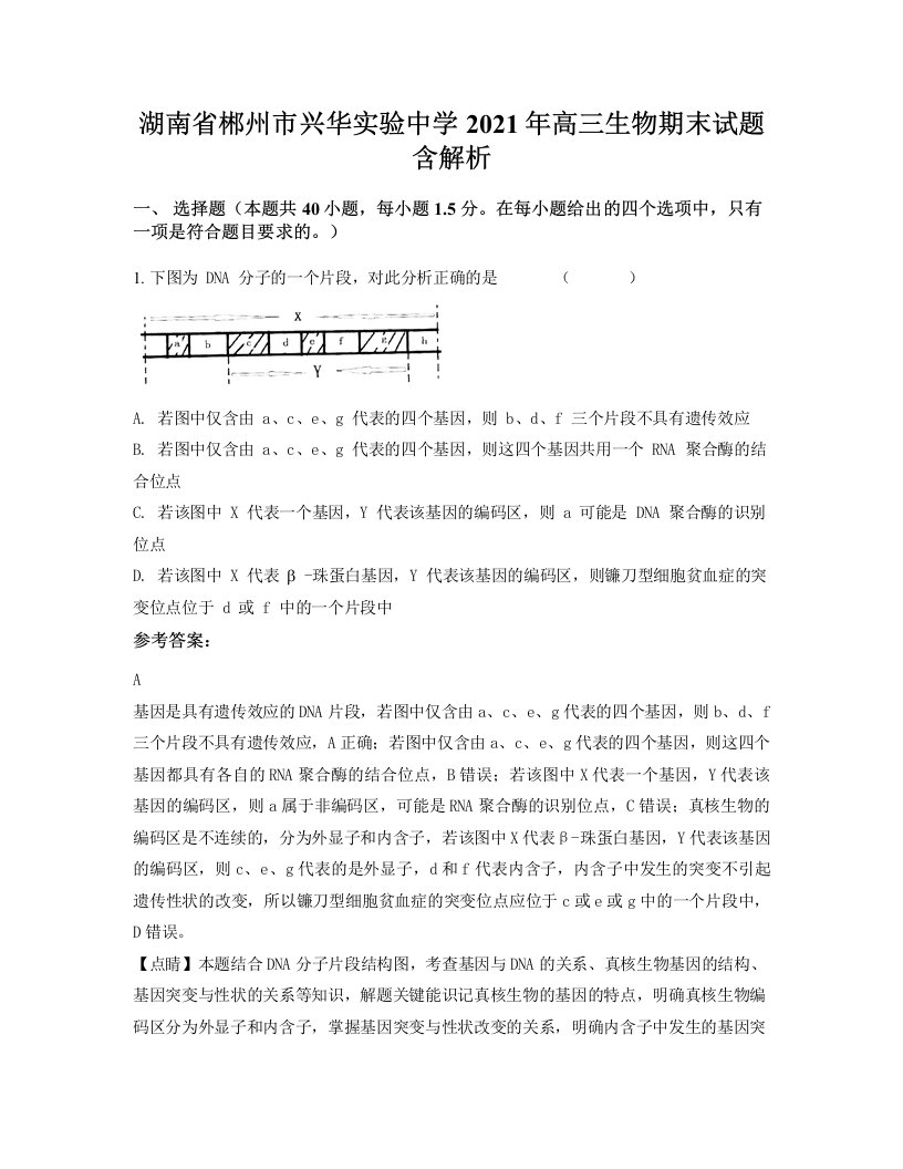 湖南省郴州市兴华实验中学2021年高三生物期末试题含解析