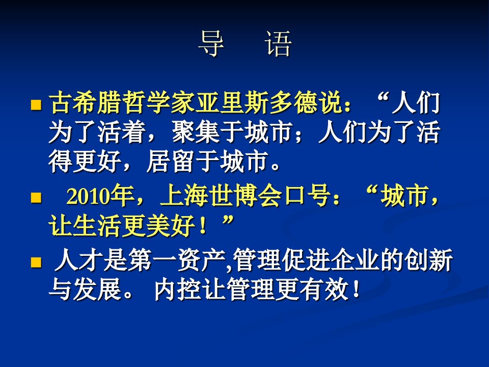 企业内控若干问题课件