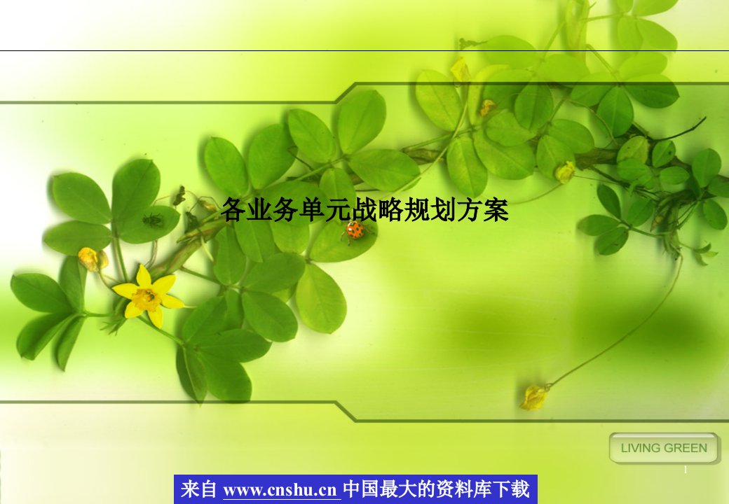 某品牌有限公司战略业务规划(PPT