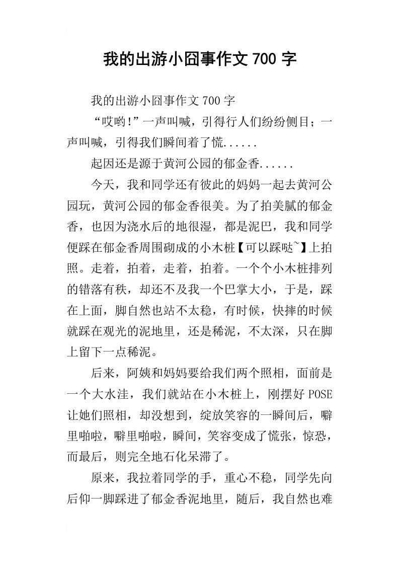 我的出游小囧事作文700字