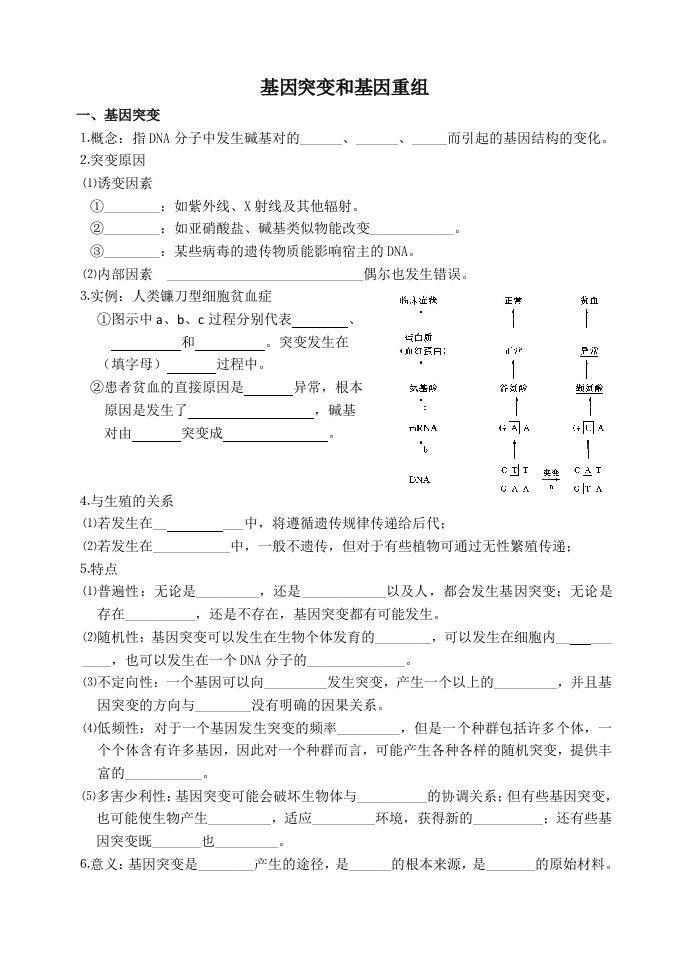 基因突变及其他变异复习学案