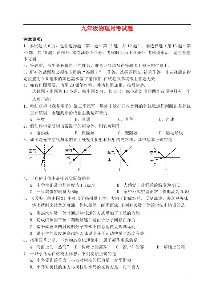 江苏省江都市实验初级中学九级物理下学期第一次月考试题