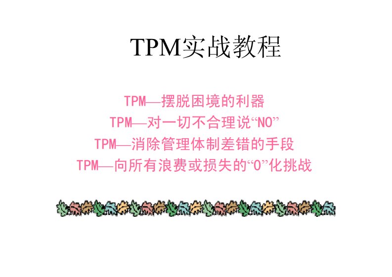 TPM实战教程