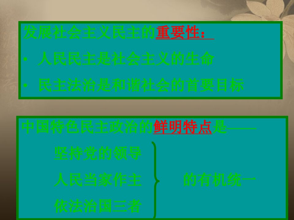 九年级政治全册第二单元第二课发展社会主义民主课件粤教版