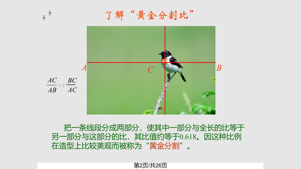 美术中的比例黄金分割欣赏