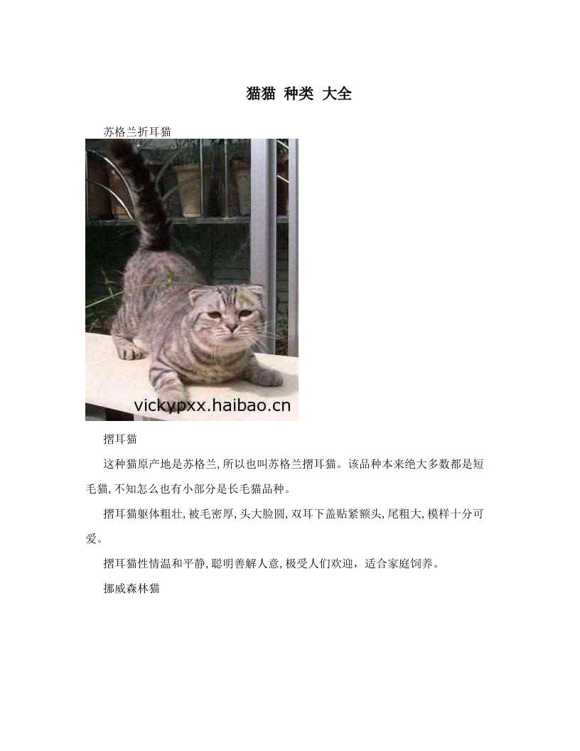 猫猫+种类+大全