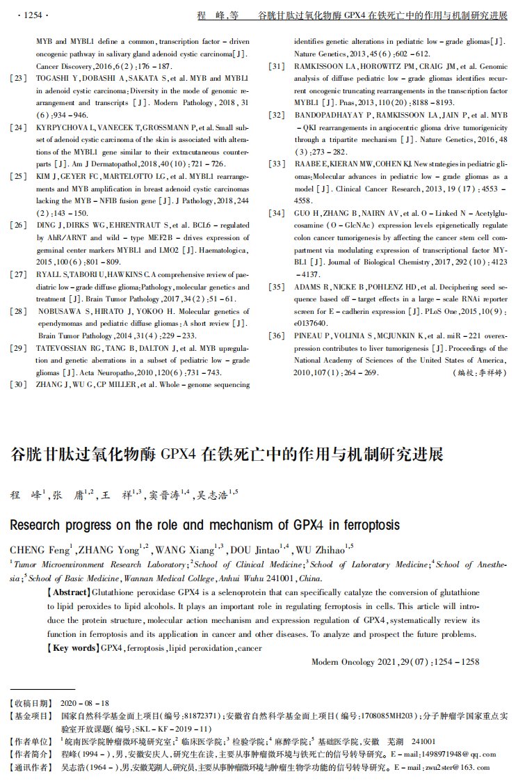 谷胱甘肽过氧化物酶GPX4在铁死亡中的作用与机制研究进展