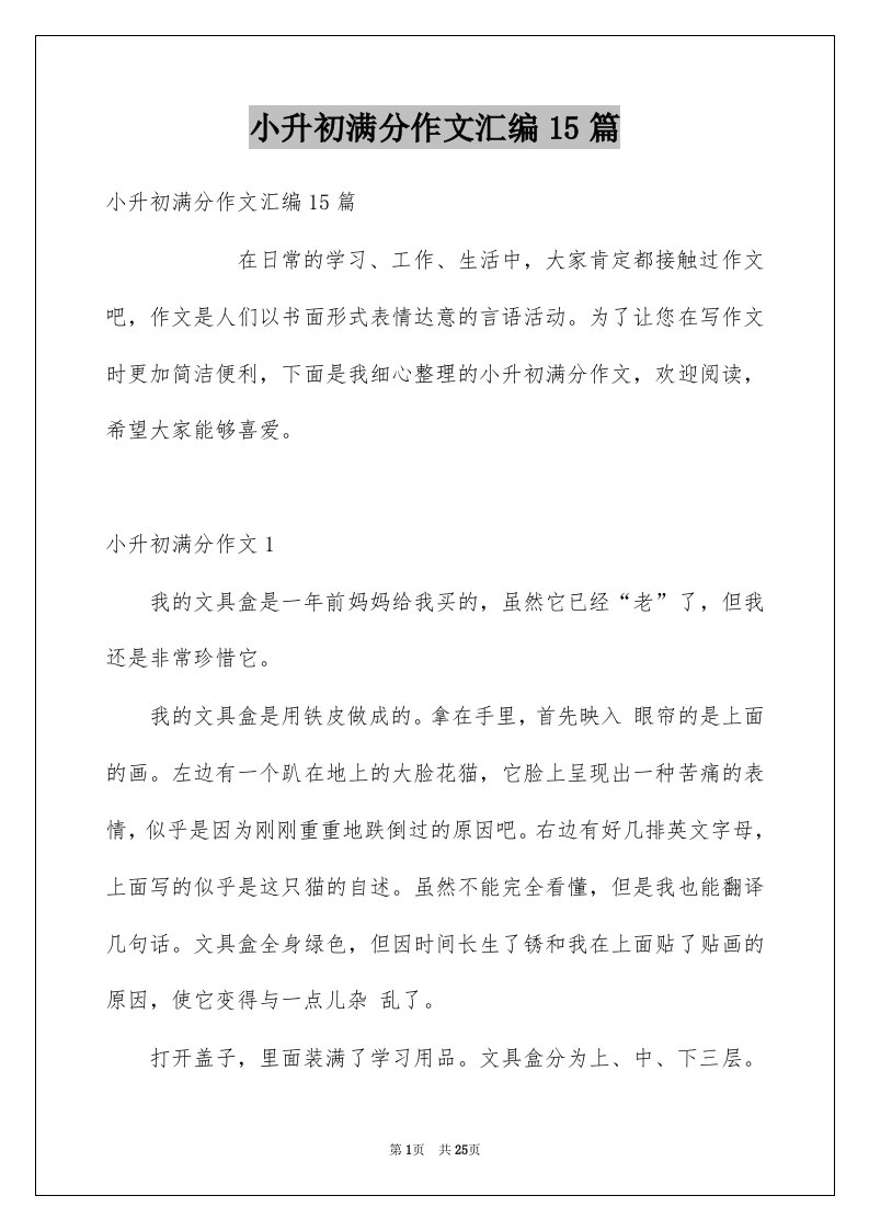 小升初满分作文汇编15篇例文