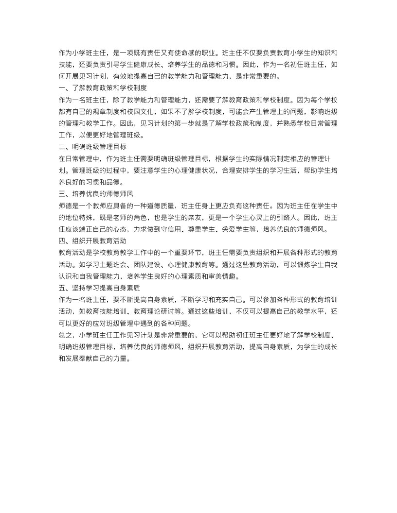 小学班主任工作见习计划