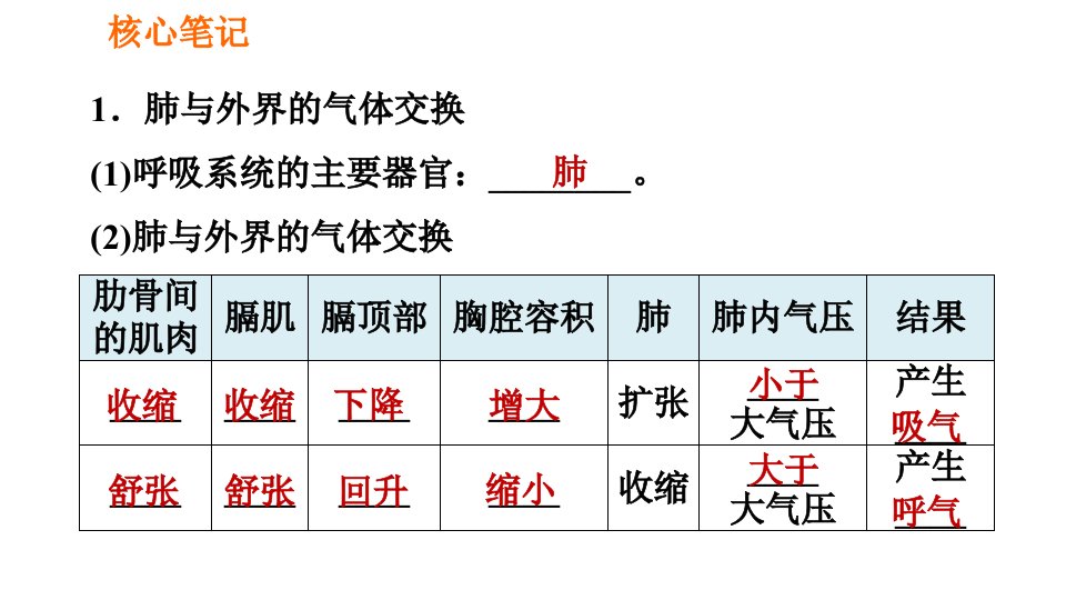 人教版七年级下册生物第3章4.3.2发生在肺内的气体交换习题课件