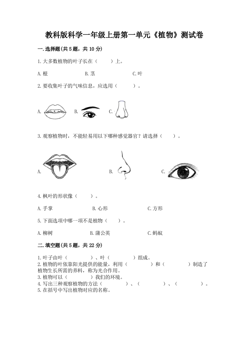 教科版科学一年级上册第一单元《植物》测试卷精品(网校专用)