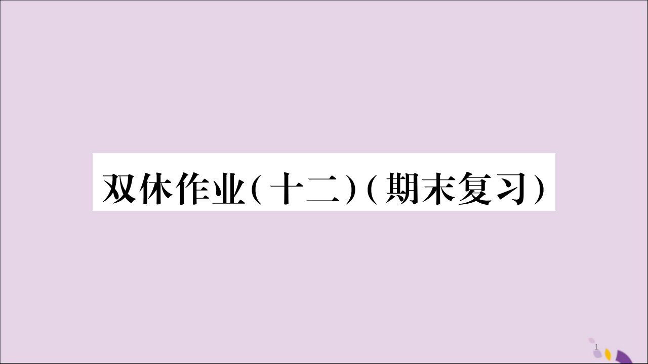 八年级数学上册双休作业(12)习题ppt课件(新版)新人教版