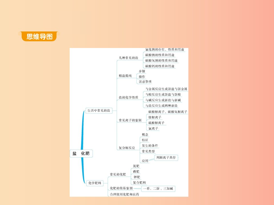 2019年九年级化学下册