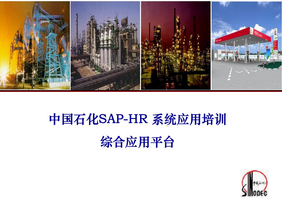 中国石化SAP-HR系统应用培训——综合应用功能平台