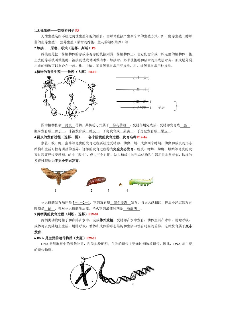 初中生物中考重点知识考点