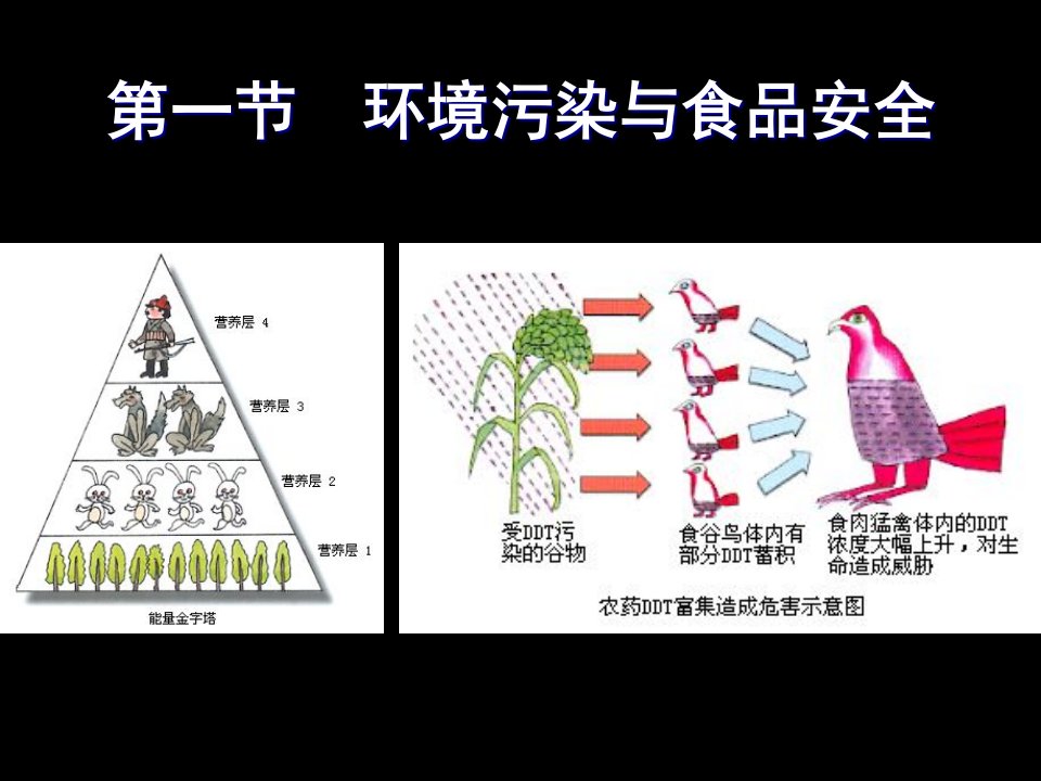 精选化学性物质与食品安全