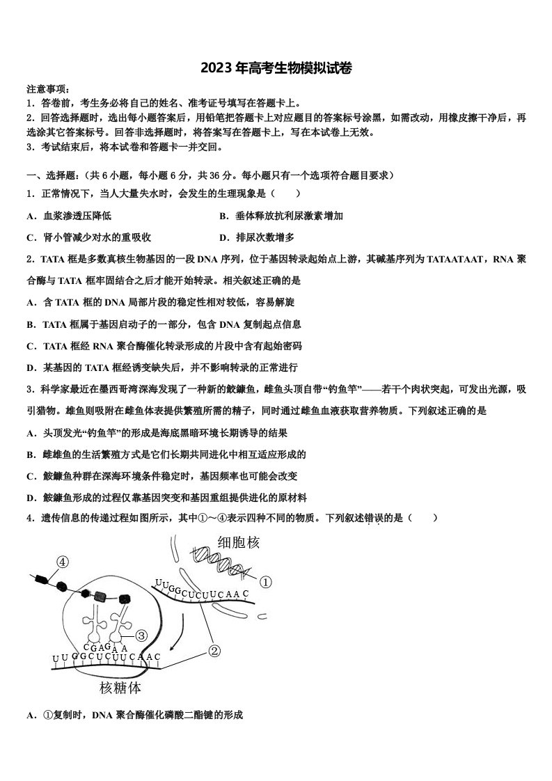 安徽省宣城市七校2023年高三适应性调研考试生物试题含解析