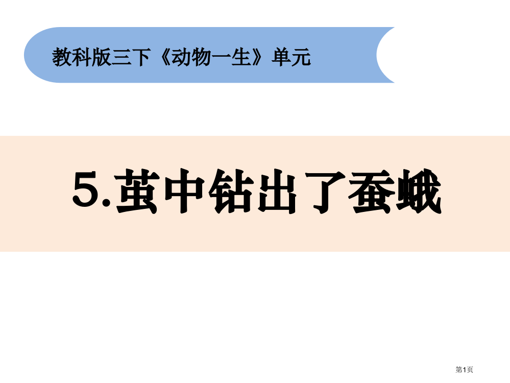 三年级下册科学课件-----5茧中钻出了蚕蛾---教科版省公开课一等奖新名师优质课比赛一等奖课件